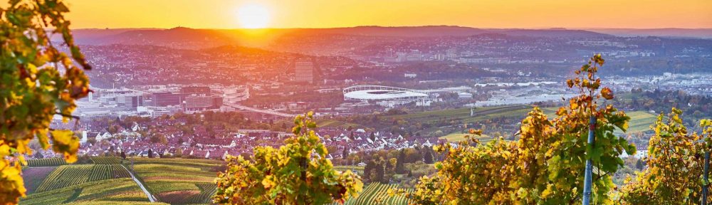 vermieten – verwalten – entwickeln